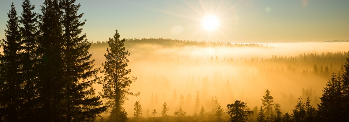 Fakta om Sjusjøen - Solnedgang