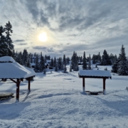 Hytteutleie Sjusjøen - Finn hytte til leie