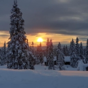 Sjusjøen Hytte Vinter