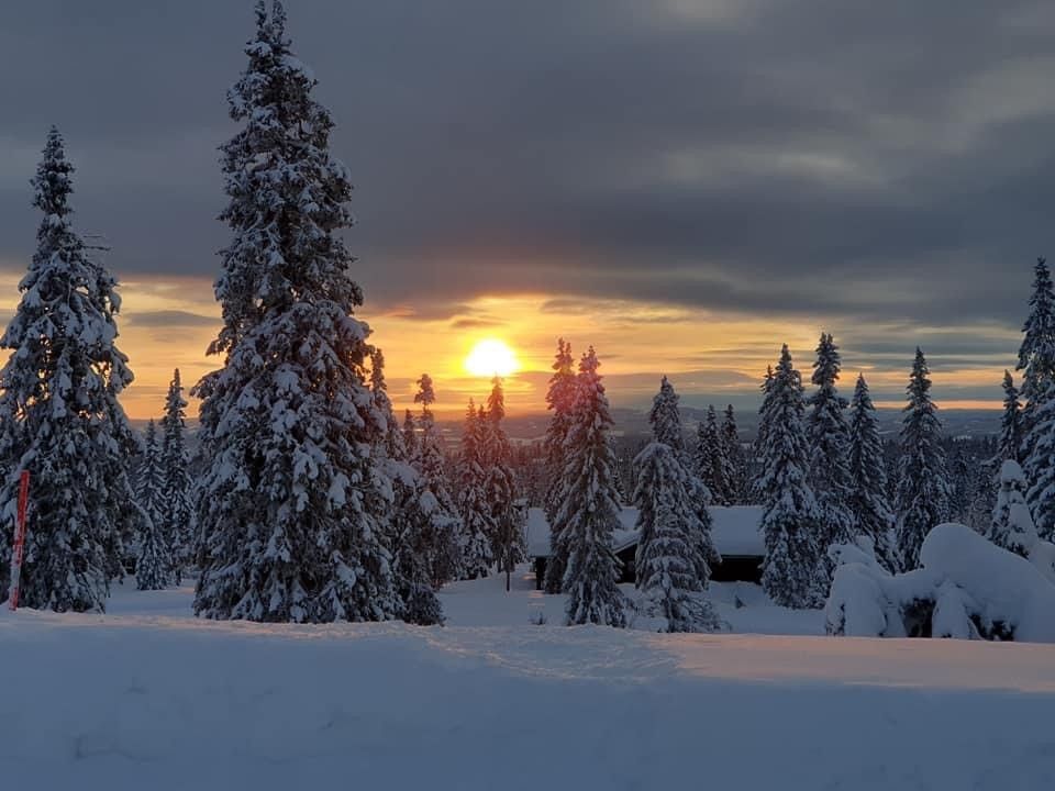 Sjusjøen Hytte Vinter