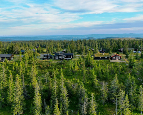Campanyon Norway