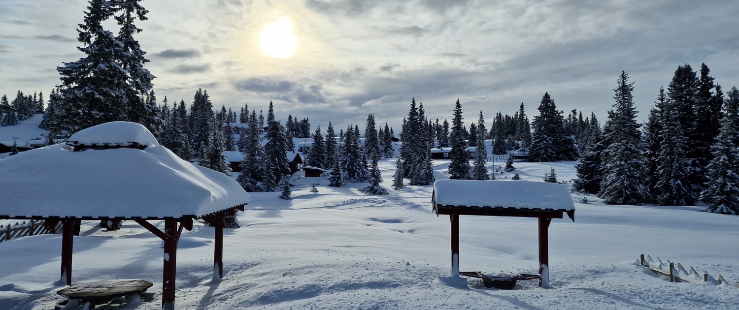 Hytteutleie Sjusjøen - Finn hytte til leie