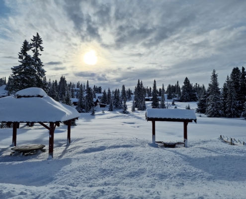 Hytteutleie Sjusjøen - Finn hytte til leie