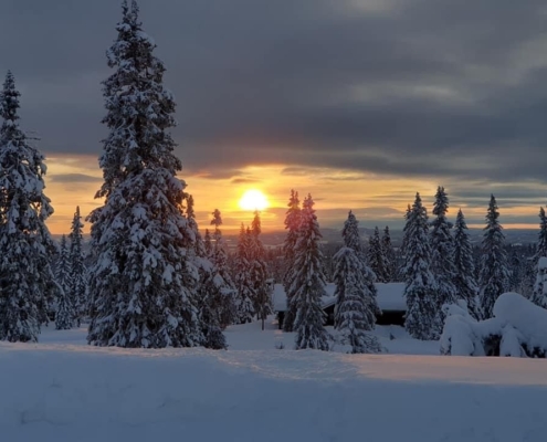Sjusjøen Hytte Vinter