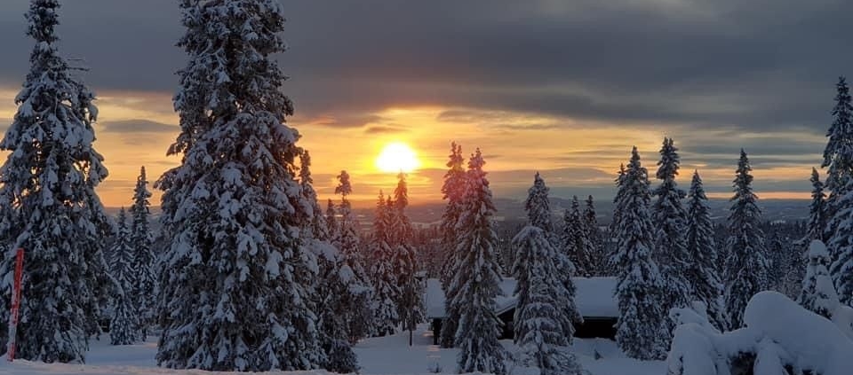 Sjusjøen Hytte Vinter