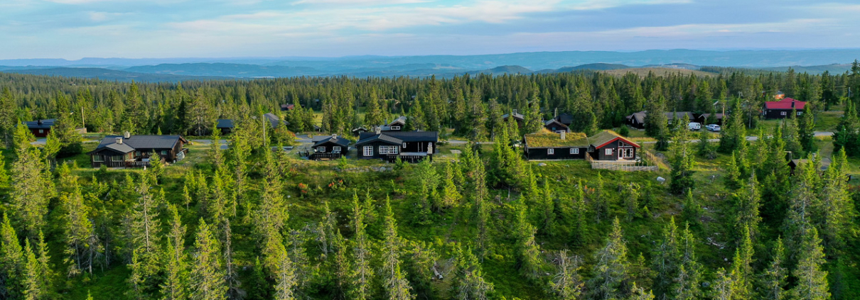 Familieferie i Norge