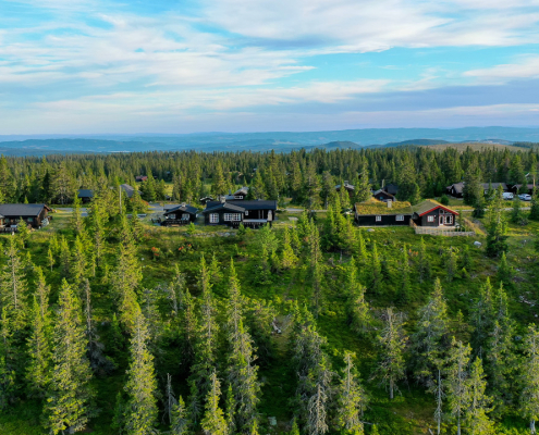 Familieferie i Norge