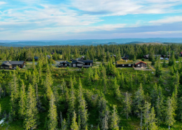 Campanyon Norway