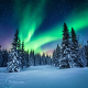 Nordlys Sjusjøen ved Lillehammer