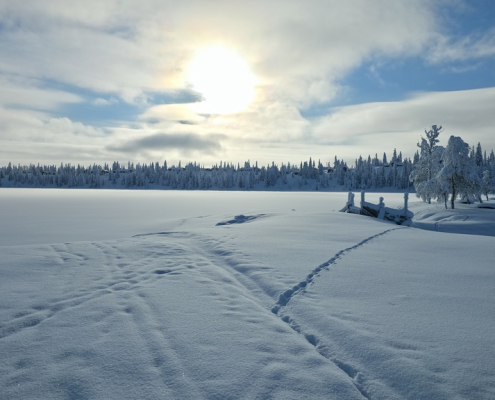 Sjusjoen norway weather