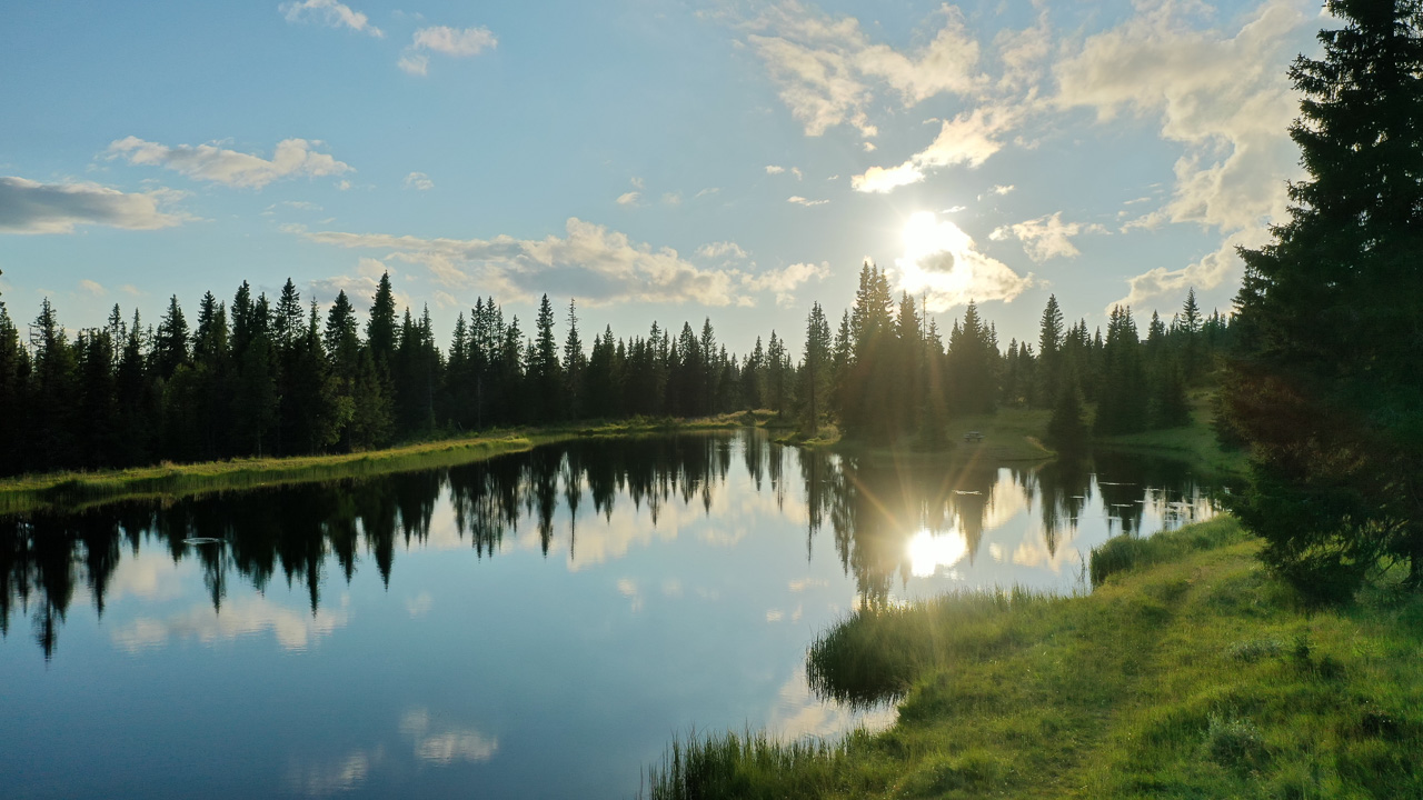 Speilblankt fjellvann og idyllisk skog om sommeren på Sjusjøen